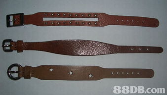 la liz industrial ltd.提供腰带,皮手带,服装标签等产品