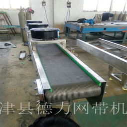 德力机械专业生产 皮带输送机 滚筒输送机爬坡输送机 不锈钢输送机 双层转弯机304不锈钢 链板输送机101