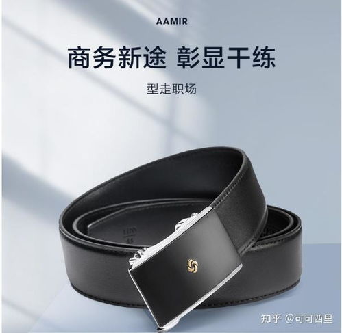 500内的男士皮带或腰带可以推荐吗