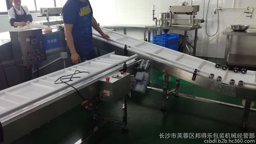 食品厂定制输送线 高效包装与物料传输解决方案